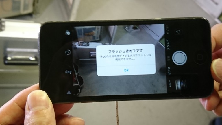 人工太陽照明灯を照らしてみました