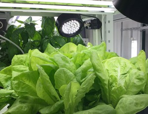 バイオ・動植物業界