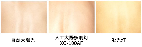 自然太陽光
人工太陽照明灯XC-100AF
蛍光灯