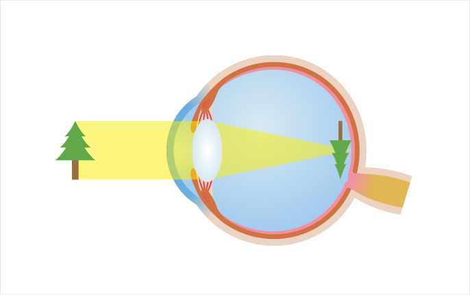 目で色を見るイメージ